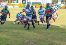 Zim-Sables