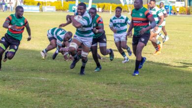 Zim-Sables